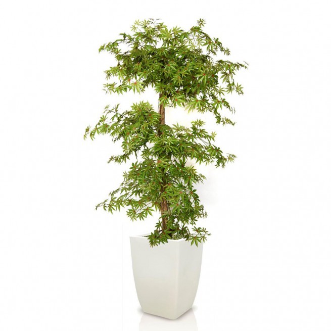 Planta semi-artificiala Ila, Maple Multistep Multicolor - 210 cm